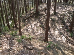 浄福寺城