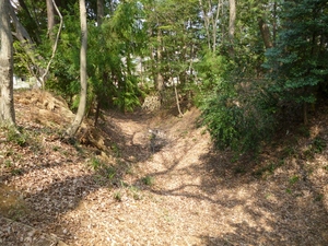 今井城