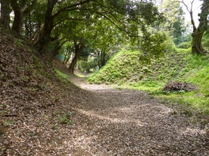 小田原古城