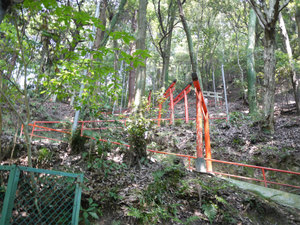 信貴山城