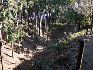 諏訪原城