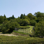 田峯城