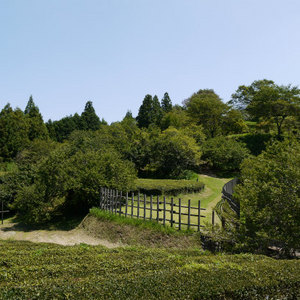 田峯城