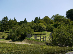 田峯城