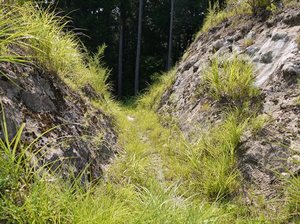 高根城
