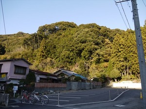 丸子城