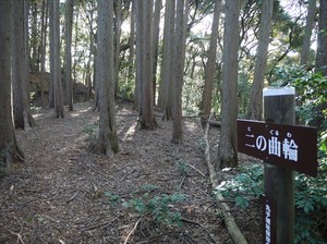 丸子城