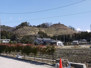 皆川城