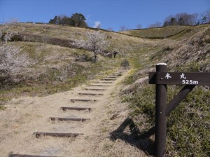 皆川城