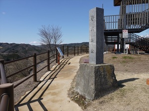 皆川城
