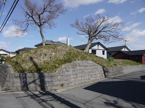 騎西城