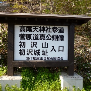 初沢城
