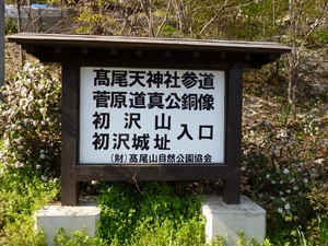 初沢城