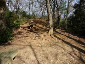 初沢城