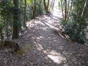 初沢城