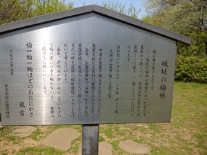 赤塚城