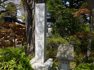赤塚城
