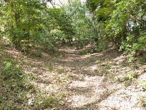 岡城