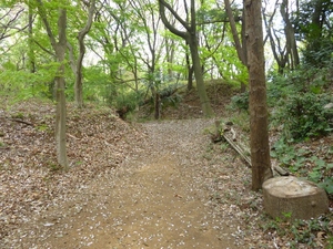三輪城