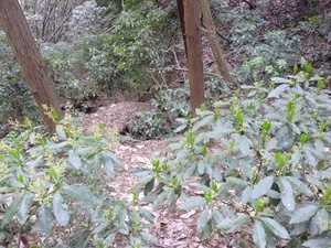 小野路城