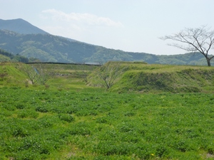 真壁城