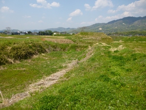 真壁城