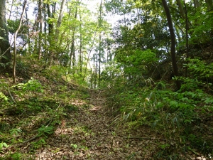 小松城
