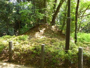 早川城