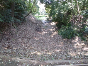 早川城