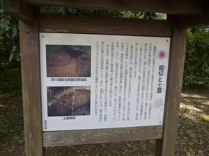 早川城