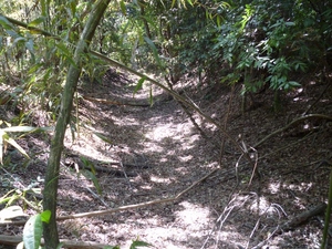 大堀山城