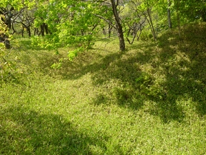 山崎城