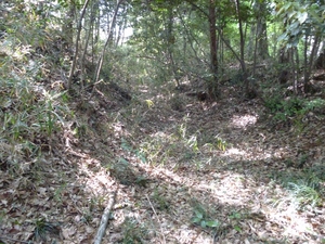 山崎城