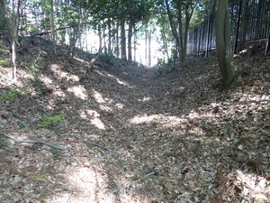山崎城