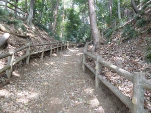 柏原城
