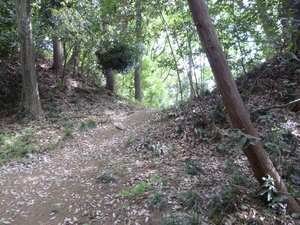 柏原城