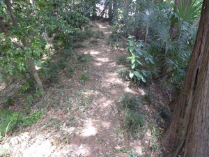 柏原城