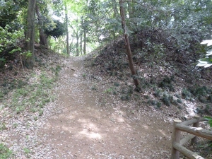 柏原城
