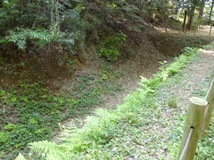 小金城