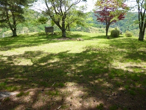 桑原城
