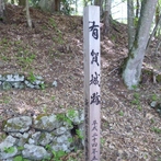 有賀城