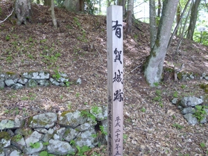 有賀城