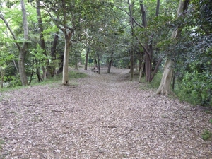 高幡城