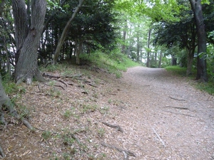 高幡城