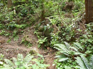松井田城