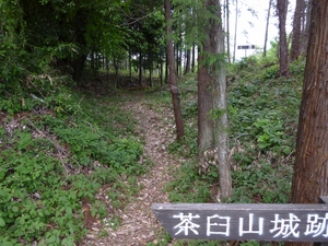 茶臼山城