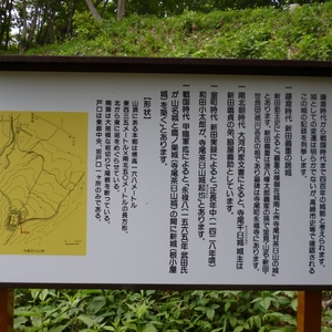 茶臼山城