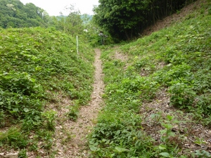 茶臼山城
