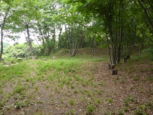 茶臼山城