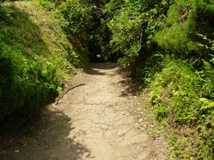 衣笠城